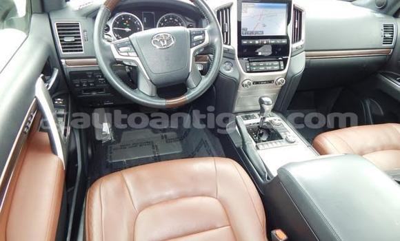 Buy Used Toyota Land Cruiser White Car in Bolands in Antigua Buy Used Toyota Land Cruiser White Car in Bolands in Antigua