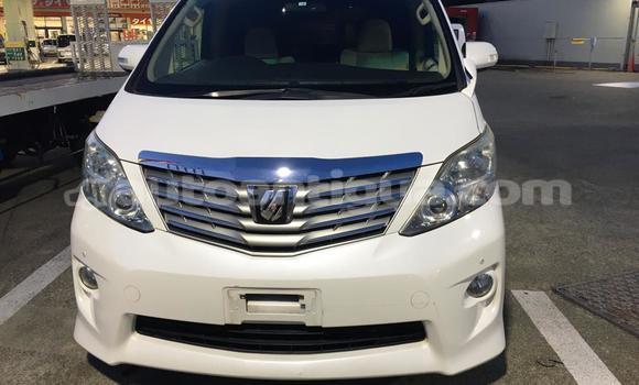 Buy Used Toyota Alphard White Car in St John's in Antigua