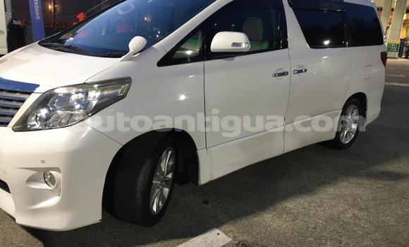 Buy Used Toyota Alphard White Car in St John's in Antigua Buy Used Toyota Alphard White Car in St John's in Antigua