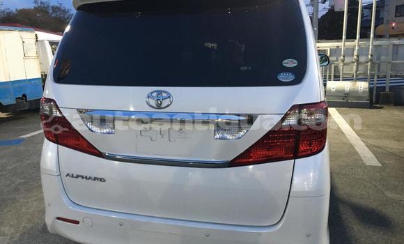 Buy Used Toyota Alphard White Car in St John's in Antigua Buy Used Toyota Alphard White Car in St John's in Antigua