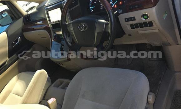 Buy Used Toyota Alphard White Car in St John's in Antigua Buy Used Toyota Alphard White Car in St John's in Antigua