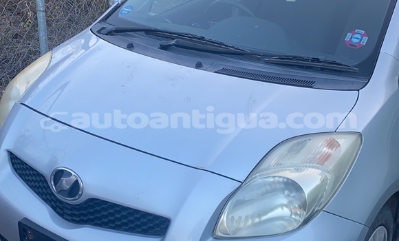 Buy Used Toyota Vitz Silver Car in St John's in Antigua Buy Used Toyota Vitz Silver Car in St John's in Antigua