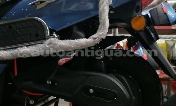 Buy New Ferrari 512 TR Blue Car in Carlisle in Antigua Buy New Ferrari 512 TR Blue Car in Carlisle in Antigua