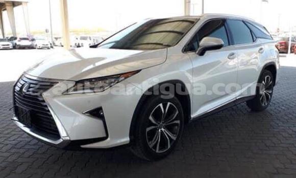 Buy Used Lexus RX 350 White Car in Parham in Antigua Buy Used Lexus RX 350 White Car in Parham in Antigua