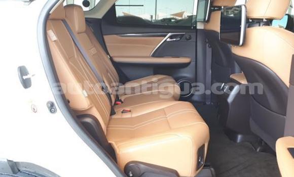 Buy Used Lexus RX 350 White Car in Codrington in Antigua Buy Used Lexus RX 350 White Car in Codrington in Antigua