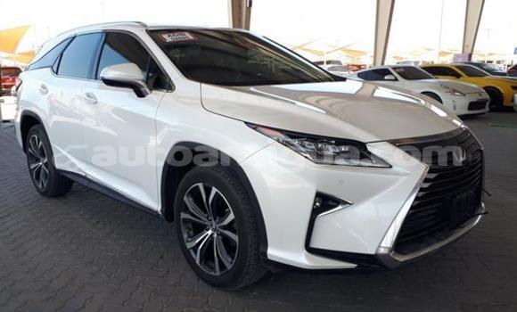 Buy Used Lexus RX 350 White Car in Codrington in Antigua Buy Used Lexus RX 350 White Car in Codrington in Antigua