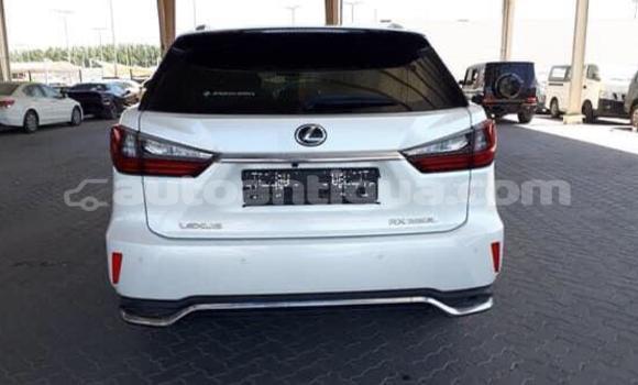 Buy Used Lexus RX 350 White Car in Codrington in Antigua Buy Used Lexus RX 350 White Car in Codrington in Antigua