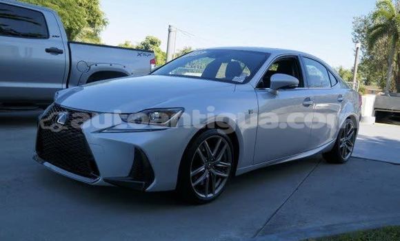 Buy Used Lexus IS Silver Car in All Saints in Antigua Buy Used Lexus IS Silver Car in All Saints in Antigua