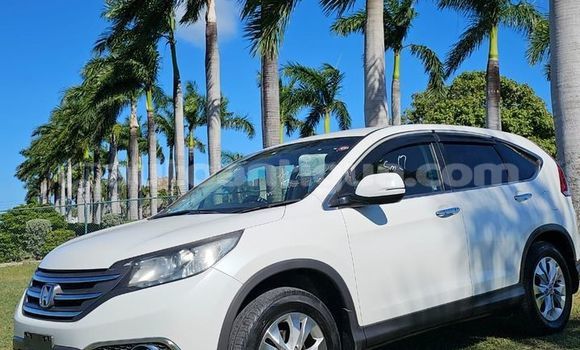 Buy Used Honda CR–V Other Car in St John's in Antigua Buy Used Honda CR–V Other Car in St John's in Antigua