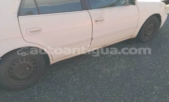 Buy Used Acura ILX Other Car in St John's in Antigua Buy Used Acura ILX Other Car in St John's in Antigua