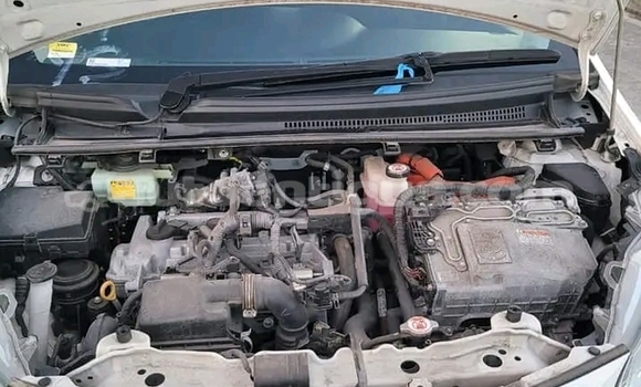 Buy Used Toyota Vitz White Car in Piggotts in Antigua Buy Used Toyota Vitz White Car in Piggotts in Antigua