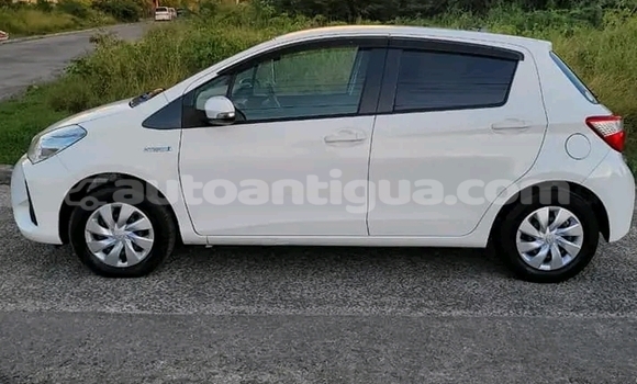 Buy Used Toyota Vitz White Car in Piggotts in Antigua Buy Used Toyota Vitz White Car in Piggotts in Antigua