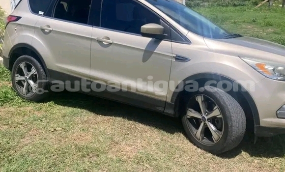 Buy Used Ford Escape White Car in Liberta in Antigua Buy Used Ford Escape White Car in Liberta in Antigua