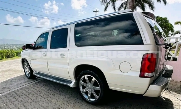Buy Used Cadillac Escalade White Car in Liberta in Antigua