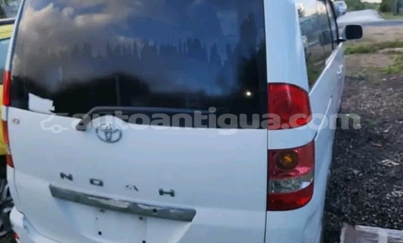 Buy Used Toyota Noah White Car in Liberta in Antigua Buy Used Toyota Noah White Car in Liberta in Antigua
