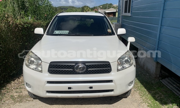 Buy Used Toyota RAV4 White Car in Piggotts in Antigua