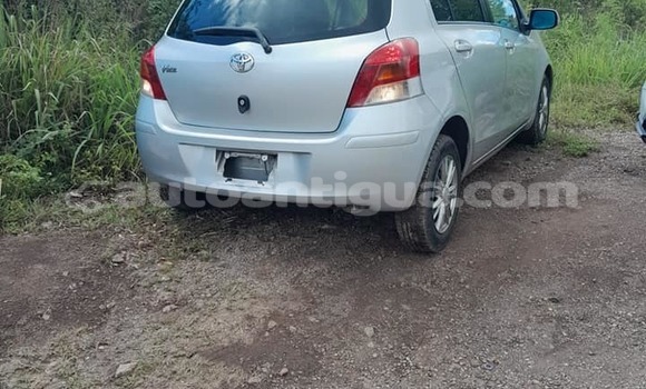 Buy Used Toyota Vitz Other Car in Cedar Grove in Antigua Buy Used Toyota Vitz Other Car in Cedar Grove in Antigua