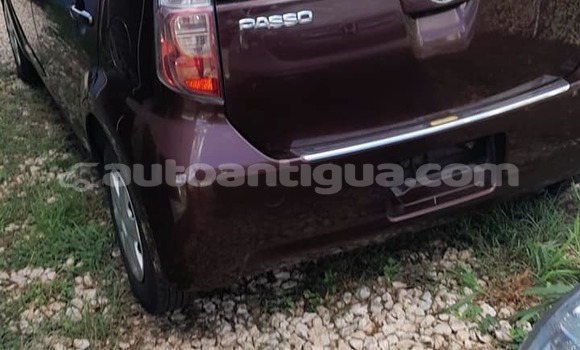 Buy Used Toyota Passo Other Car in Cedar Grove in Antigua Buy Used Toyota Passo Other Car in Cedar Grove in Antigua