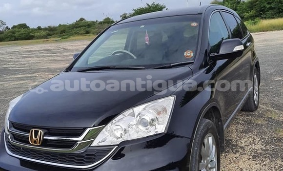 Buy Used Honda CR–V Black Car in Bolands in Antigua