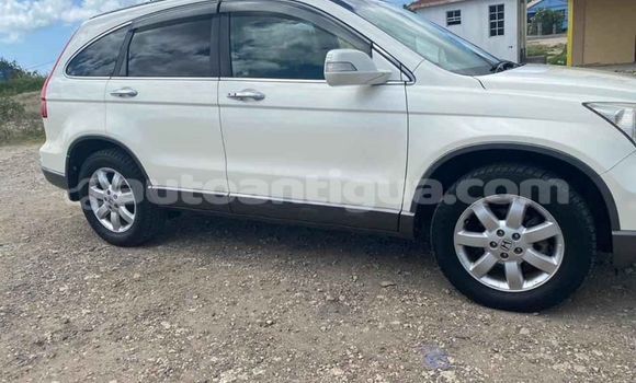 Buy Used Honda CR–V White Car in Import - Dubai in Antigua Buy Used Honda CR–V White Car in Import - Dubai in Antigua