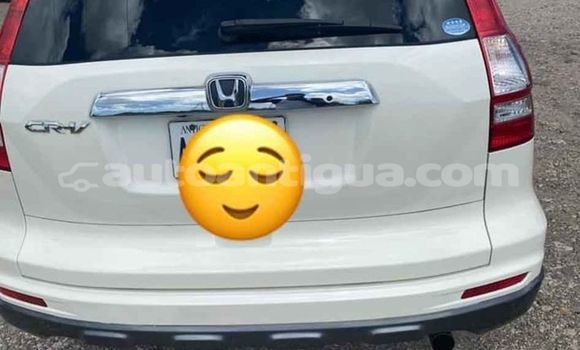 Buy Used Honda CR–V White Car in Import - Dubai in Antigua Buy Used Honda CR–V White Car in Import - Dubai in Antigua