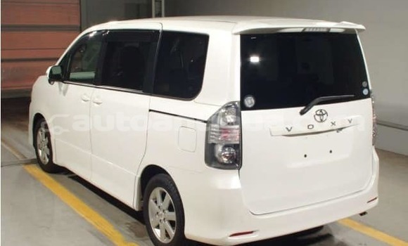 Buy Used Toyota Voxy White Car in Codrington in Antigua Buy Used Toyota Voxy White Car in Codrington in Antigua