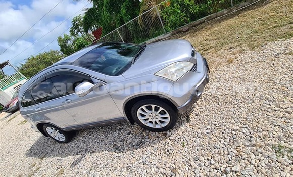 Buy Used Honda CR–V Other Car in Codrington in Antigua Buy Used Honda CR–V Other Car in Codrington in Antigua