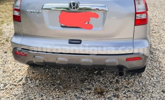 Buy Used Honda CR–V Other Car in Codrington in Antigua Buy Used Honda CR–V Other Car in Codrington in Antigua