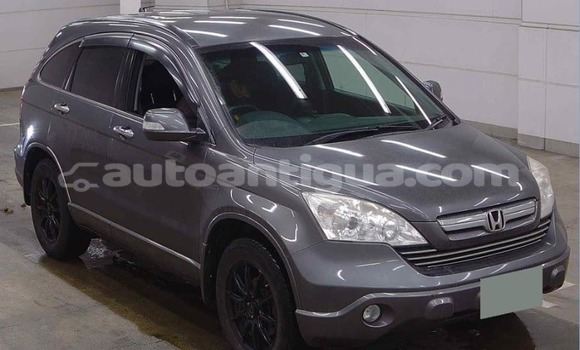Buy Used Honda CR–V Other Car in Codrington in Antigua Buy Used Honda CR–V Other Car in Codrington in Antigua