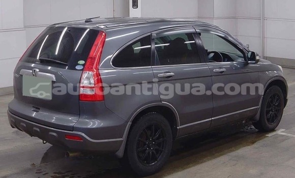 Buy Used Honda CR–V Other Car in Codrington in Antigua Buy Used Honda CR–V Other Car in Codrington in Antigua