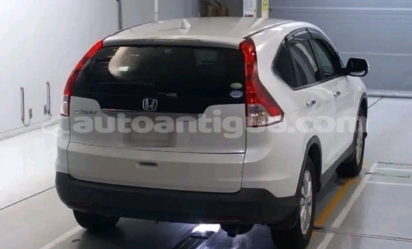 Buy Used Honda Avancier White Car in Liberta in Antigua Buy Used Honda Avancier White Car in Liberta in Antigua