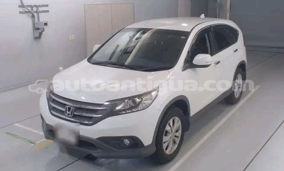 Buy Used Honda Avancier White Car in Liberta in Antigua Buy Used Honda Avancier White Car in Liberta in Antigua