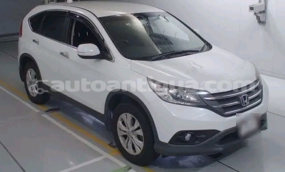 Buy Used Honda Avancier White Car in Liberta in Antigua Buy Used Honda Avancier White Car in Liberta in Antigua