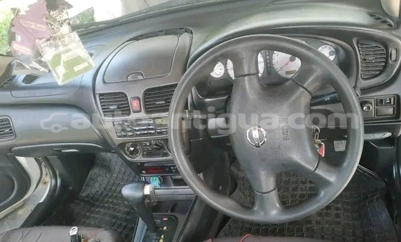 Buy Used Nissan Almera Other Car in Potters Village in Antigua Buy Used Nissan Almera Other Car in Potters Village in Antigua