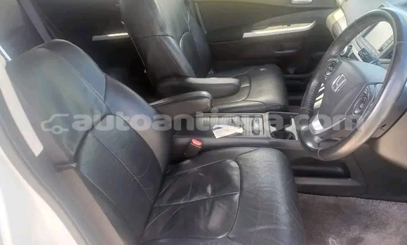 Buy Used Honda Capa Other Car in St John's in Antigua Buy Used Honda Capa Other Car in St John's in Antigua