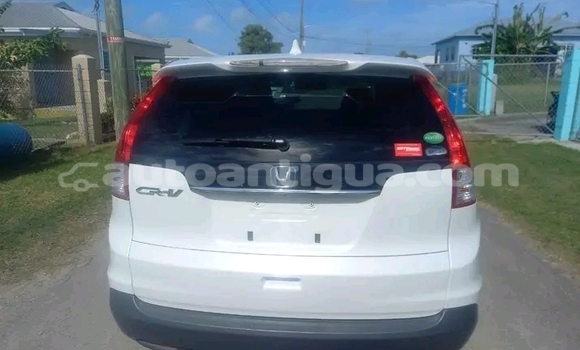 Buy Used Honda Capa Other Car in St John's in Antigua Buy Used Honda Capa Other Car in St John's in Antigua
