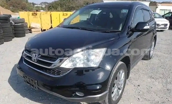 Buy Used Honda CR–V Other Car in St John's in Antigua Buy Used Honda CR–V Other Car in St John's in Antigua