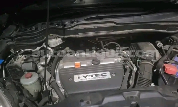Buy Used Honda CR–V Other Car in St John's in Antigua Buy Used Honda CR–V Other Car in St John's in Antigua