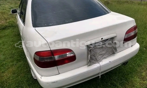 Buy Used Toyota Carina ED Other Car in Parham in Antigua Buy Used Toyota Carina ED Other Car in Parham in Antigua