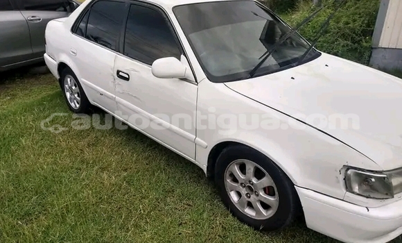 Buy Used Toyota Carina ED Other Car in Parham in Antigua Buy Used Toyota Carina ED Other Car in Parham in Antigua