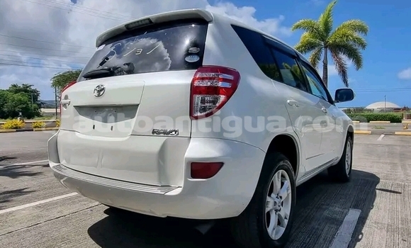 Buy Used Faw Oley White Car in Parham in Antigua Buy Used Faw Oley White Car in Parham in Antigua