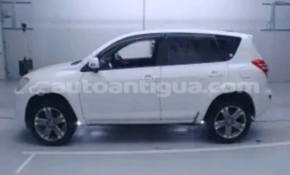 Buy Used Toyota Blizzard Other Car in St John's in Antigua Buy Used Toyota Blizzard Other Car in St John's in Antigua