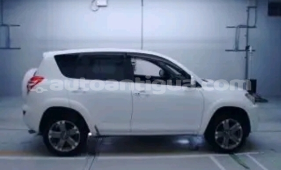 Buy Used Toyota Blizzard Other Car in St John's in Antigua Buy Used Toyota Blizzard Other Car in St John's in Antigua