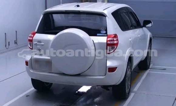 Buy Used Toyota Blizzard Other Car in St John's in Antigua Buy Used Toyota Blizzard Other Car in St John's in Antigua