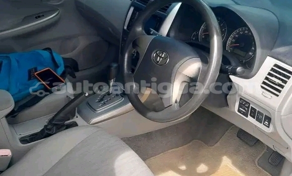 Buy Used Bristol Blenheim Speedster Other Car in Liberta in Antigua Buy Used Bristol Blenheim Speedster Other Car in Liberta in Antigua