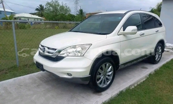 Buy Used Honda CR–V White Car in Parham in Antigua Buy Used Honda CR–V White Car in Parham in Antigua