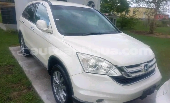 Buy Used Honda CR–V White Car in Parham in Antigua Buy Used Honda CR–V White Car in Parham in Antigua