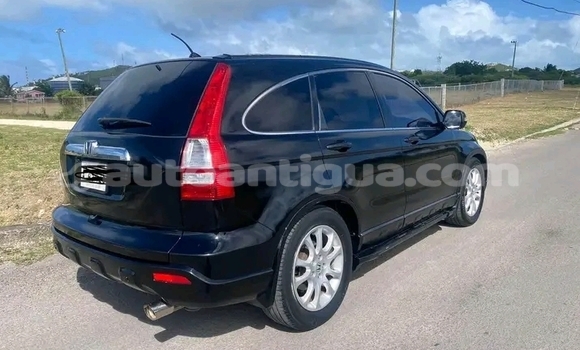 Buy Used Honda Crossroad Other Car in Codrington in Antigua