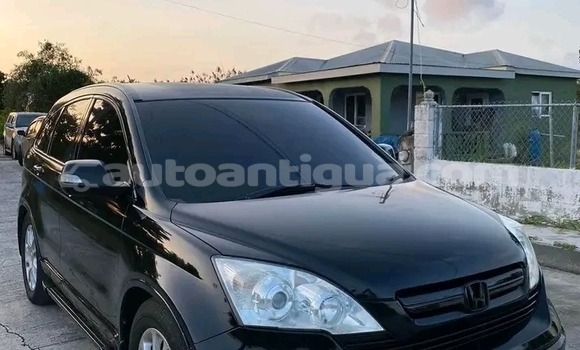 Buy Used Honda Crossroad Other Car in Codrington in Antigua Buy Used Honda Crossroad Other Car in Codrington in Antigua