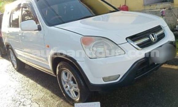 Buy Used Honda CR–V Other Car in Liberta in Antigua Buy Used Honda CR–V Other Car in Liberta in Antigua